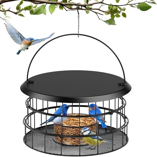 Bluebird Feeders for Outdoors Hanging - Birdfeeder Bluebird Feeder- Black