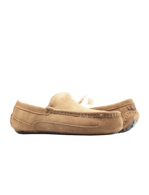 UGG ASCOT CHESTNUT SUEDE SHEEPSKIN MEN display picture 3