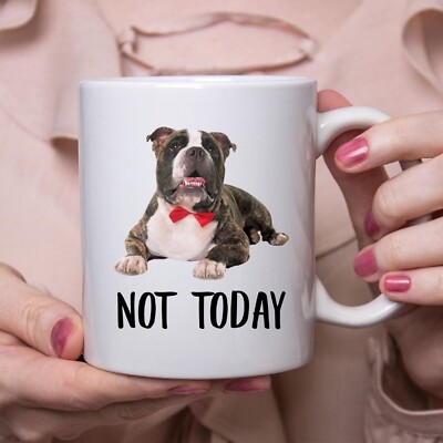 Funny American Bully Brindle Not Today Dog Mug Lazy Coffee Mug