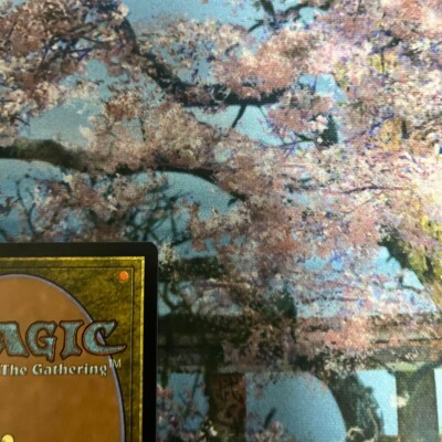 MTG Pact of Negation - Future Sight - Foil - JPN - NM | eBay