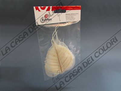 RAYHER - WILLOW LEAVES - NATURAL - PACK 8 PIECES