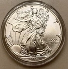 2019 Silver American Eagle $1 - BU - Brilliant Uncirculated - In Capsule