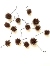 90 Sweet Gum Balls Organic Forage Seed Bur Protection Negativity Burr FREE SHIP