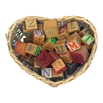 Vintage Wooden Child's Building Blocks Toy 21 Letters Numbers 13 Embossed Animal