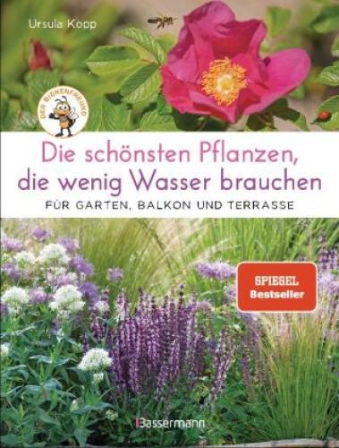 Die Schönsten Pflanzen, Die Wenig Wasser Brauchen Für Garten, Balkon