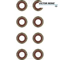 Dichtungssatz, Ventilschaft Victor Reinz 12-53987-01