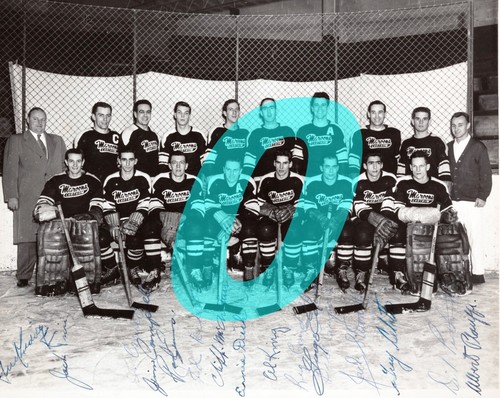 INTERNATIONAL HOCKEY LEAGUE TEAM PHOTOS ( YOU PICK FROM LIST) REPRINT - Picture 138 of 145