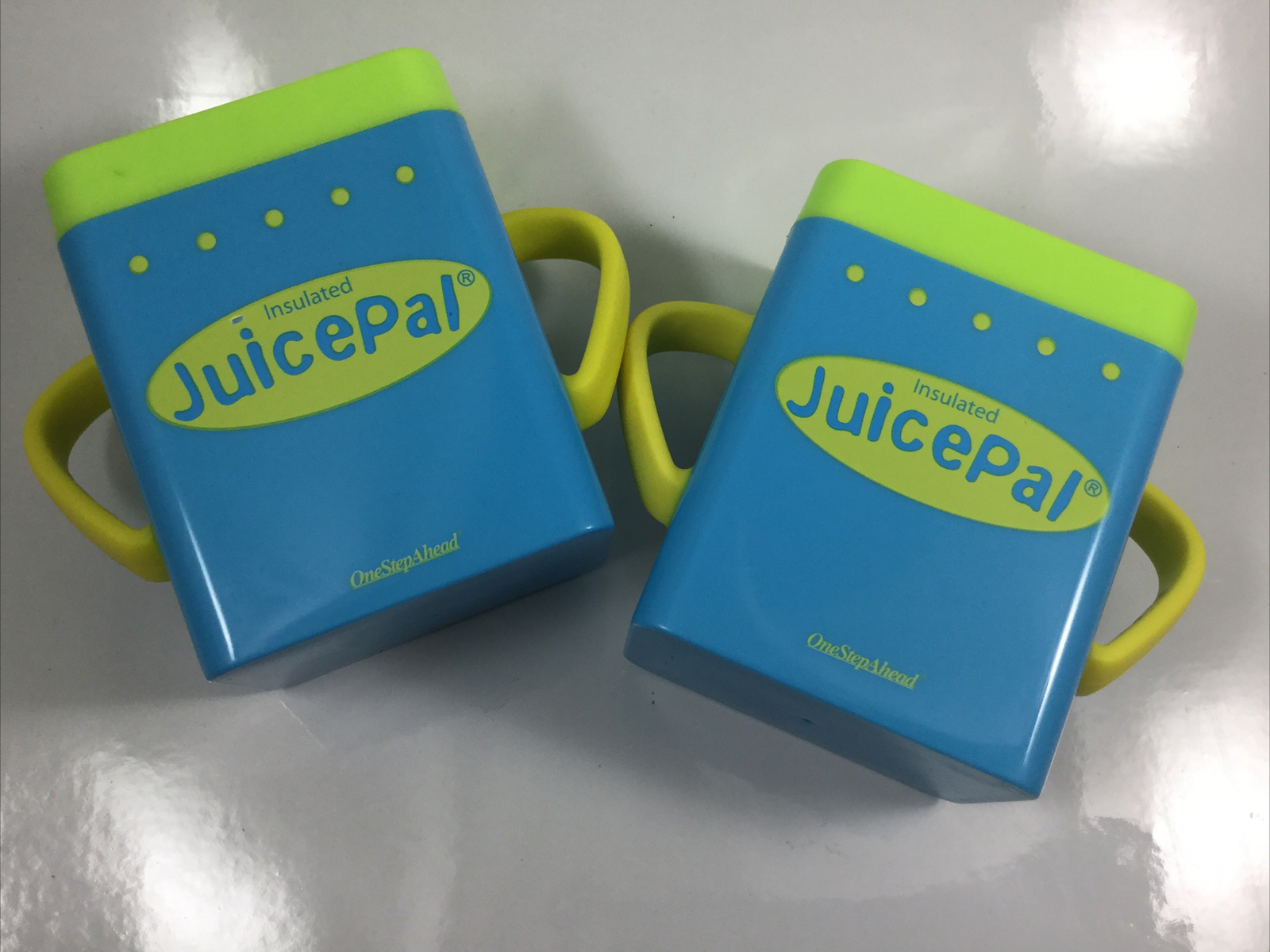 Set Of 2 Insulated Juice Pal Juice Box Holders By One Step Ahead eBay
