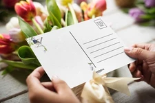 Stonehouse Postcards Blue S Collection Gorgeous Bird Tree Watercolor Postcard