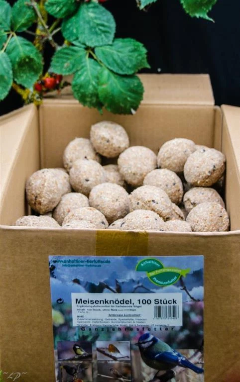 Anhaltiner Meisenknödel 100St. ohne Netz mit Insekten Rindertalg Wildvögel Fett - Bild 4 von 4