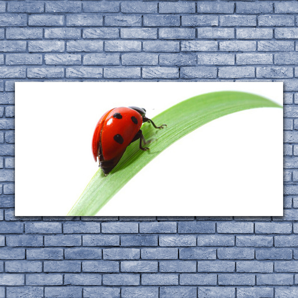 Tableau coccinelle en plexiglas pour insuffler de la poésie dans votre pièce