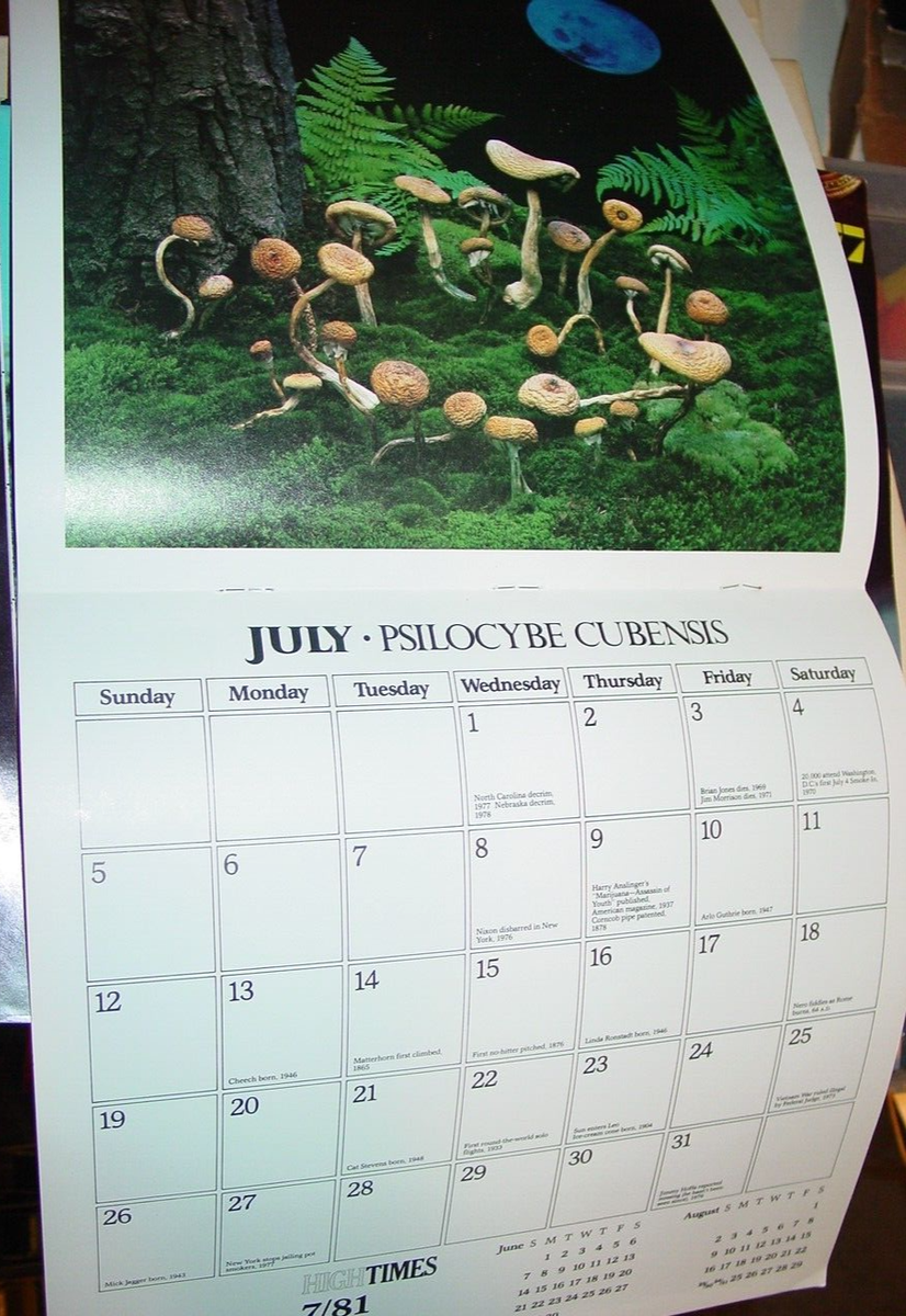 HIGH TIMES 1981 VINTAGE HEADSHOP CALENDER -NICE! | eBay