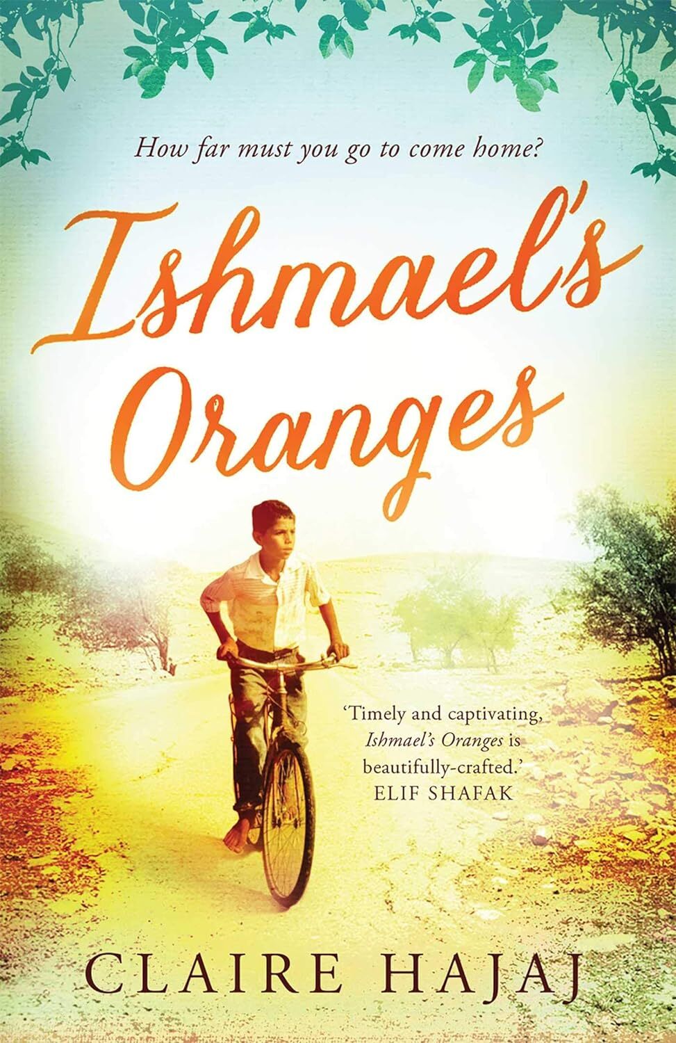 9781780746098 Ishmael's Oranges - Claire Hajaj