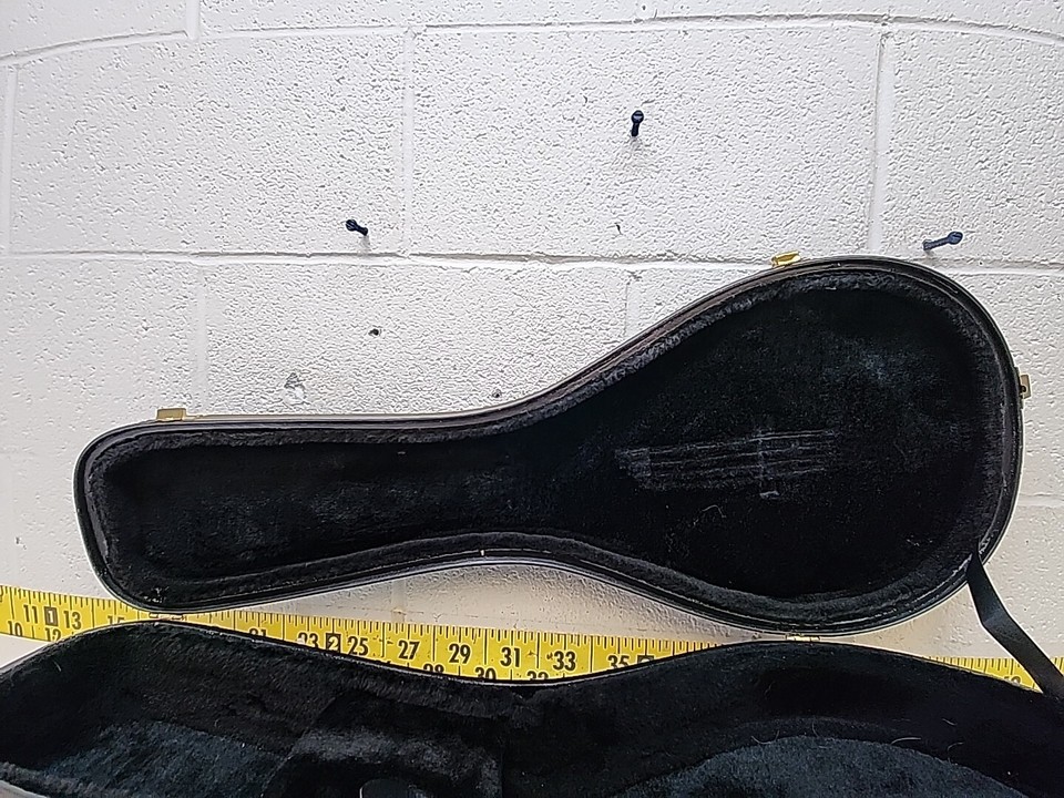 Mint Condition Johnson Oval Hole Mandolin MA100 with Hard Case (SR) eBay