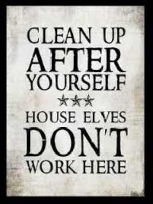 CLEAN UP AFTER YOURSELF HOUSE ELVES DON'T WORK HERE magic potter magnet ...