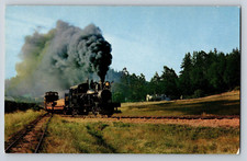 Postcard Steam Locomotive Tuolumne Heisler Freight & Passenger Train Posted 1966