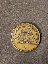 40 Year AA Medallion Coin 1-3/8" Heavy Premium Bronze Sobriety Medallion XL