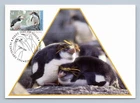 Australian Antarctic Territory $1 1993 Royal Penguins First Day Cover Postcard