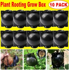 10Pcs Plant Root Growing Craft Box High Pressure Propagation Ball Layering Pod