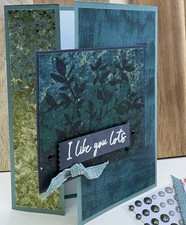 Stampin  Up Every Occasion, Suitable For Guys