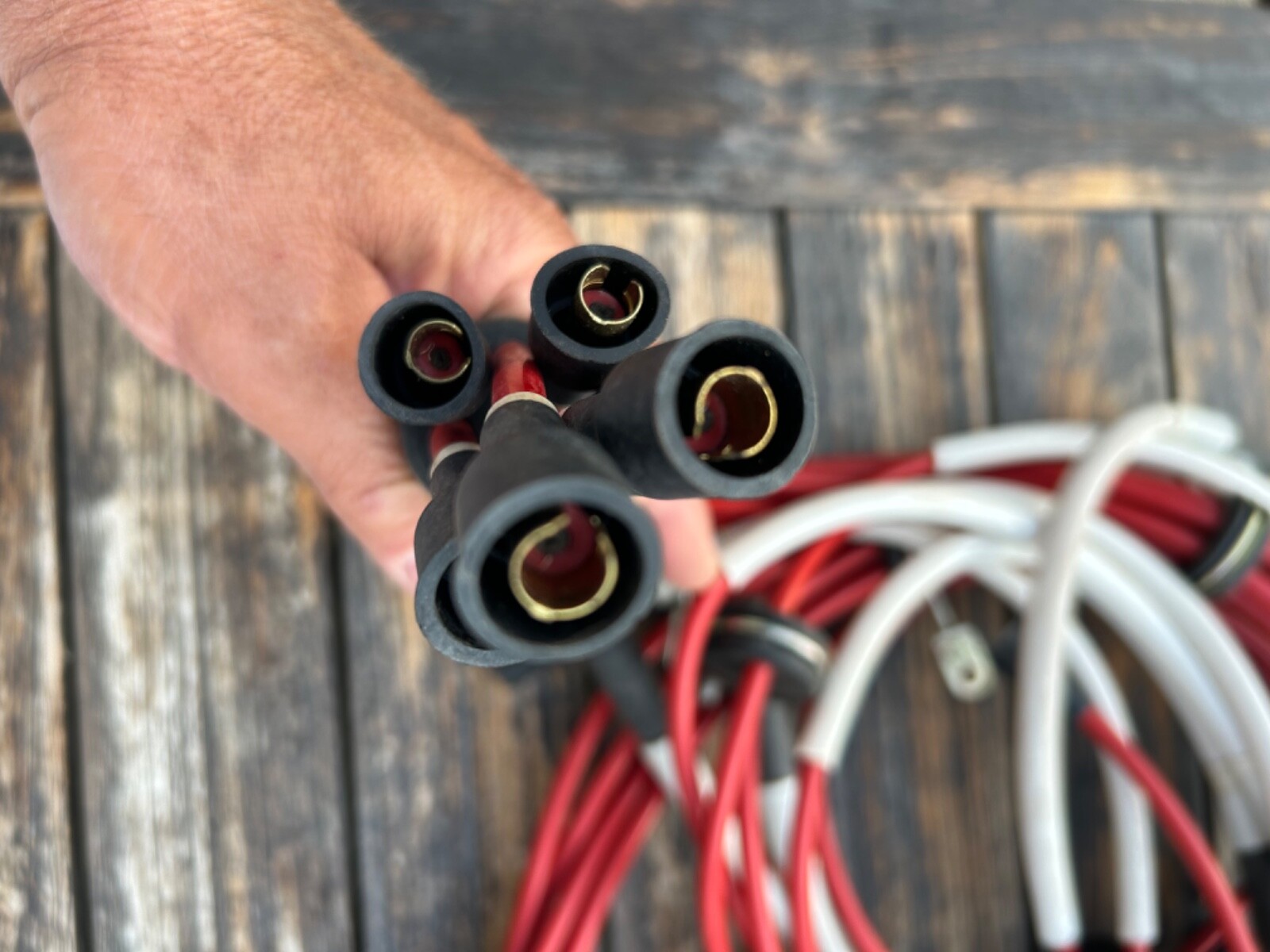 Lamborghini Countach 5000S 2 valve ignition wires