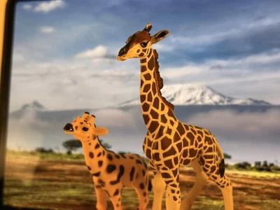 Lot De 12 Figurines Animaux De La Savane - Schleich et Autre - Photo 1/4