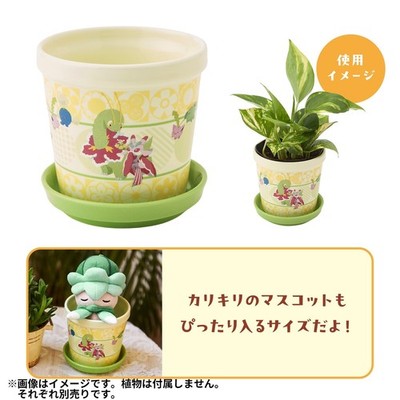 plant pot with base Conduit Plant Stand with Plant Pot for Indoors