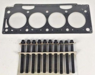 Headgasket Screws Megane Scenic Laguna Vivaro Trafic S40 1.9 DCI F9Q