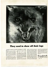 1937 B F Goodrich Rubber Company Timber Wolf Vintage Print Ad