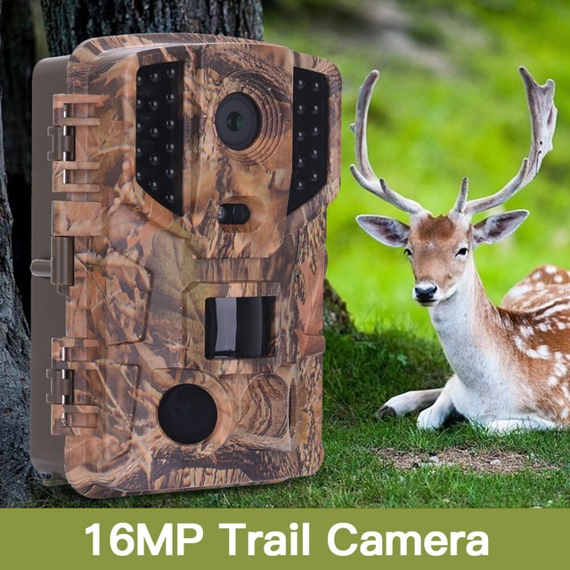 indoor animal camera