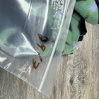Foto 10 di 11