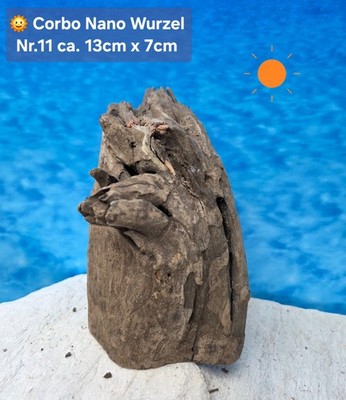  Corbo Root Nano  Aquarium Traum Wurzel Naturwurzel Terrarium Hardscape Dek