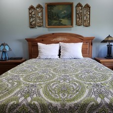 Southshore Comforter Queen 90x102 Green Gray Paisley Quilt Bedding Traditional