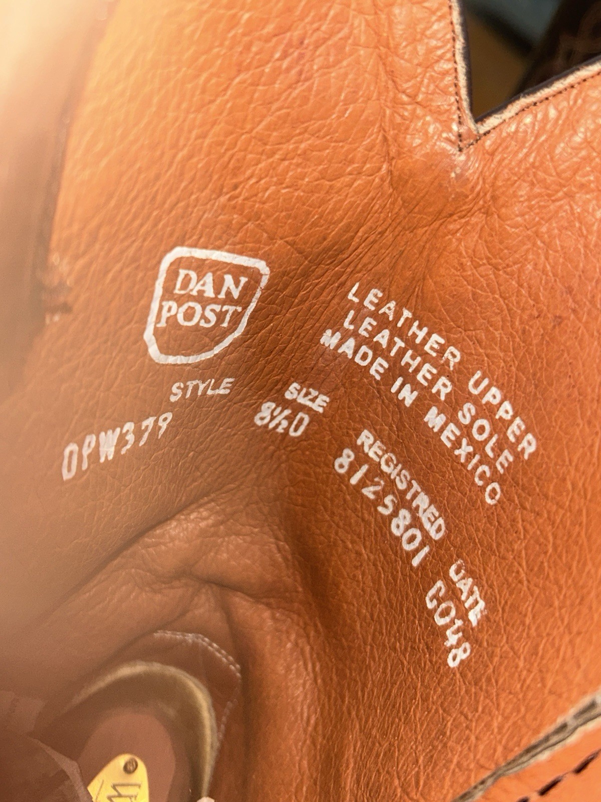 Dan Post Python boots - image 5