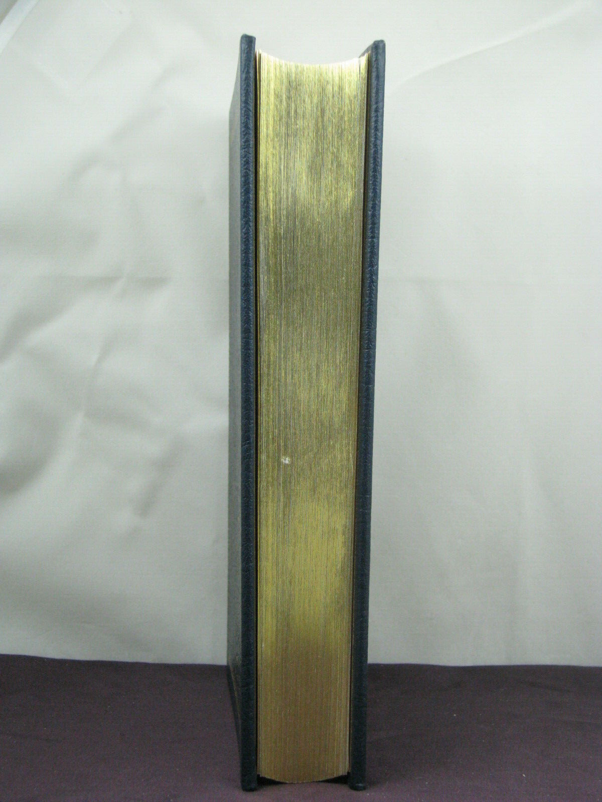 Picture 6 of 7