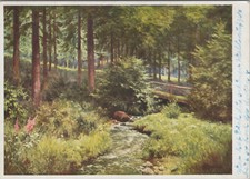Postcard, postcard, forest brook (N)50861