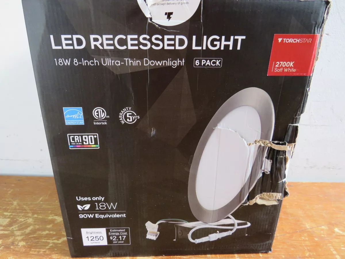 8 inch 2024 ceiling light