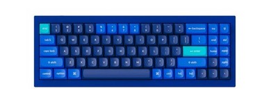 Q7 Swappable RGB Backlight Brown Switch - Blue - Special Color Keycaps
