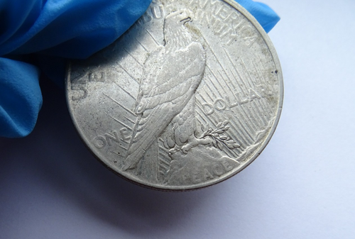 PEACE SILVER DOLLAR 1926-D / FedEx Free Shipping - Picture 9 of 9