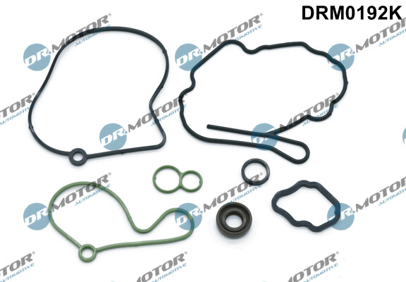 DRM0192K Dr.Motor Automotive Dichtungssatz, Unterdruckpumpe FüR Audi,Ford,Seat,S-image