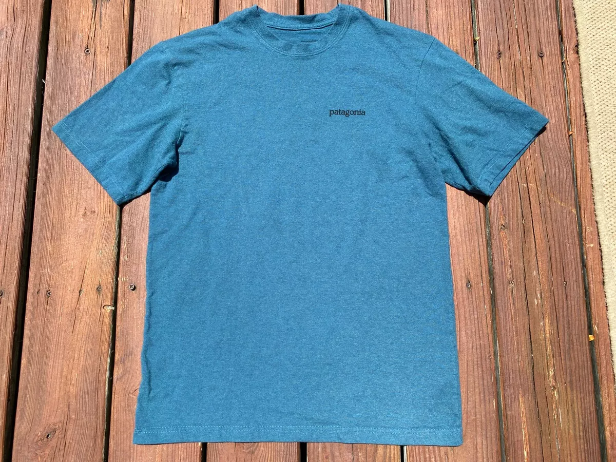 Patagonia Fitz Roy Horizons Responsibili Tee T Shirt Anacapa Blue