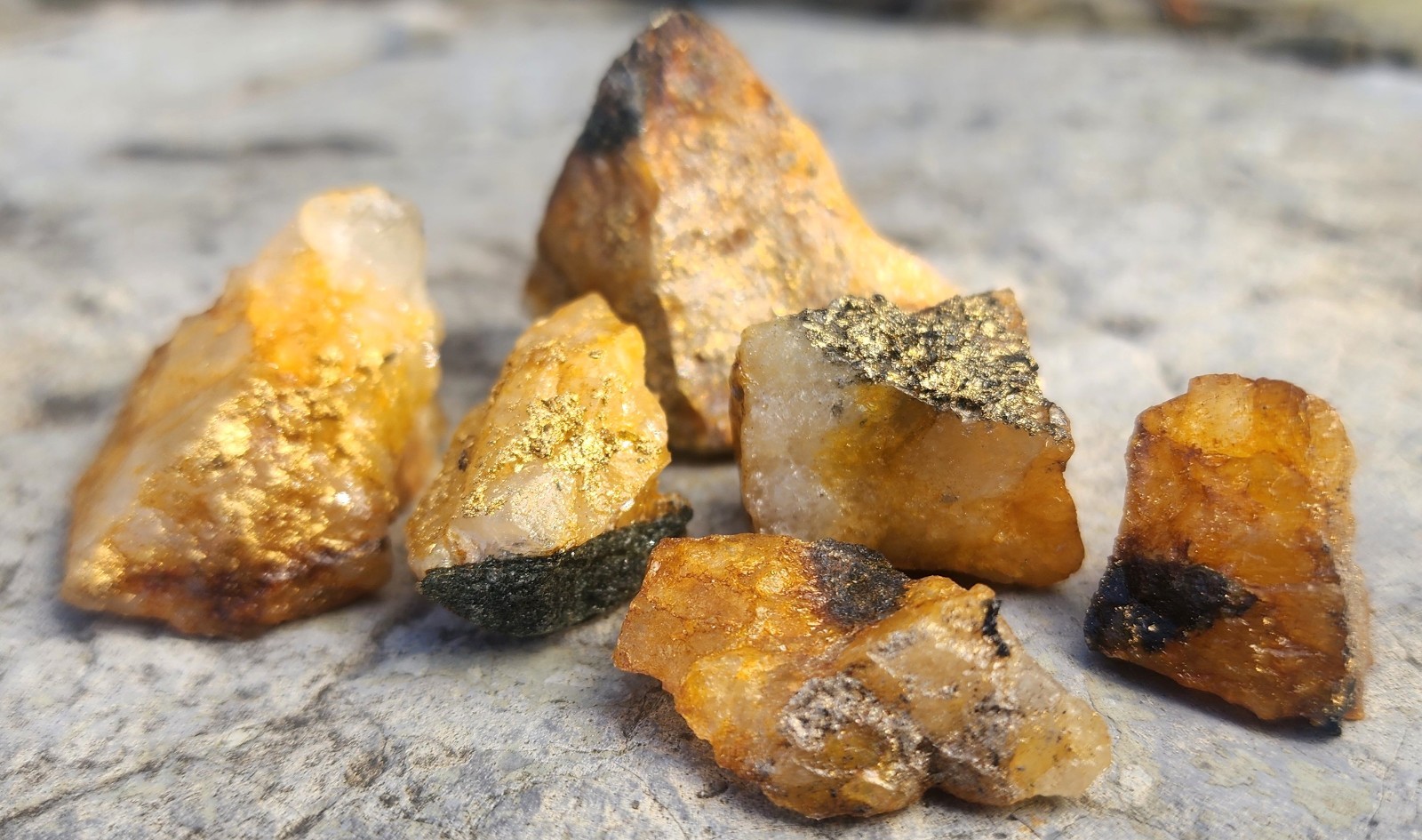 6 Gold Specimens 100+g Gold Strung Thru Malleable Gold Bearing Chalcopyrite A-5