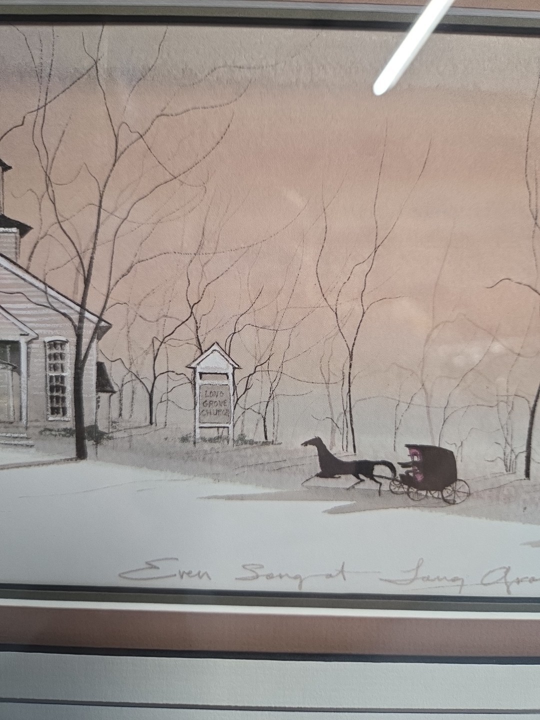 Picture 4 of 14