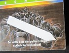 Bild 7 von 8