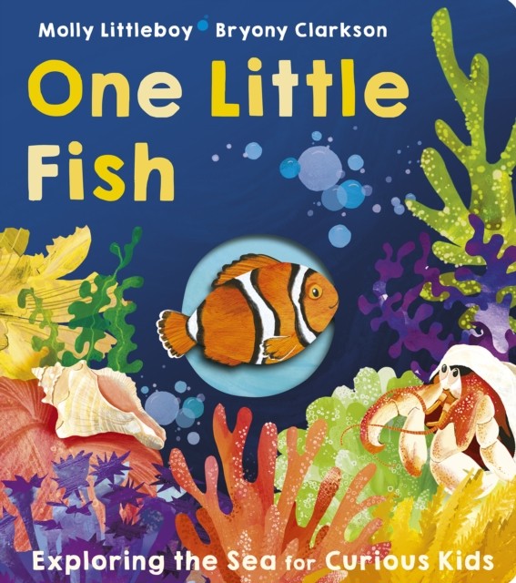 One Little Fish by Molly Littleboy (Board book)