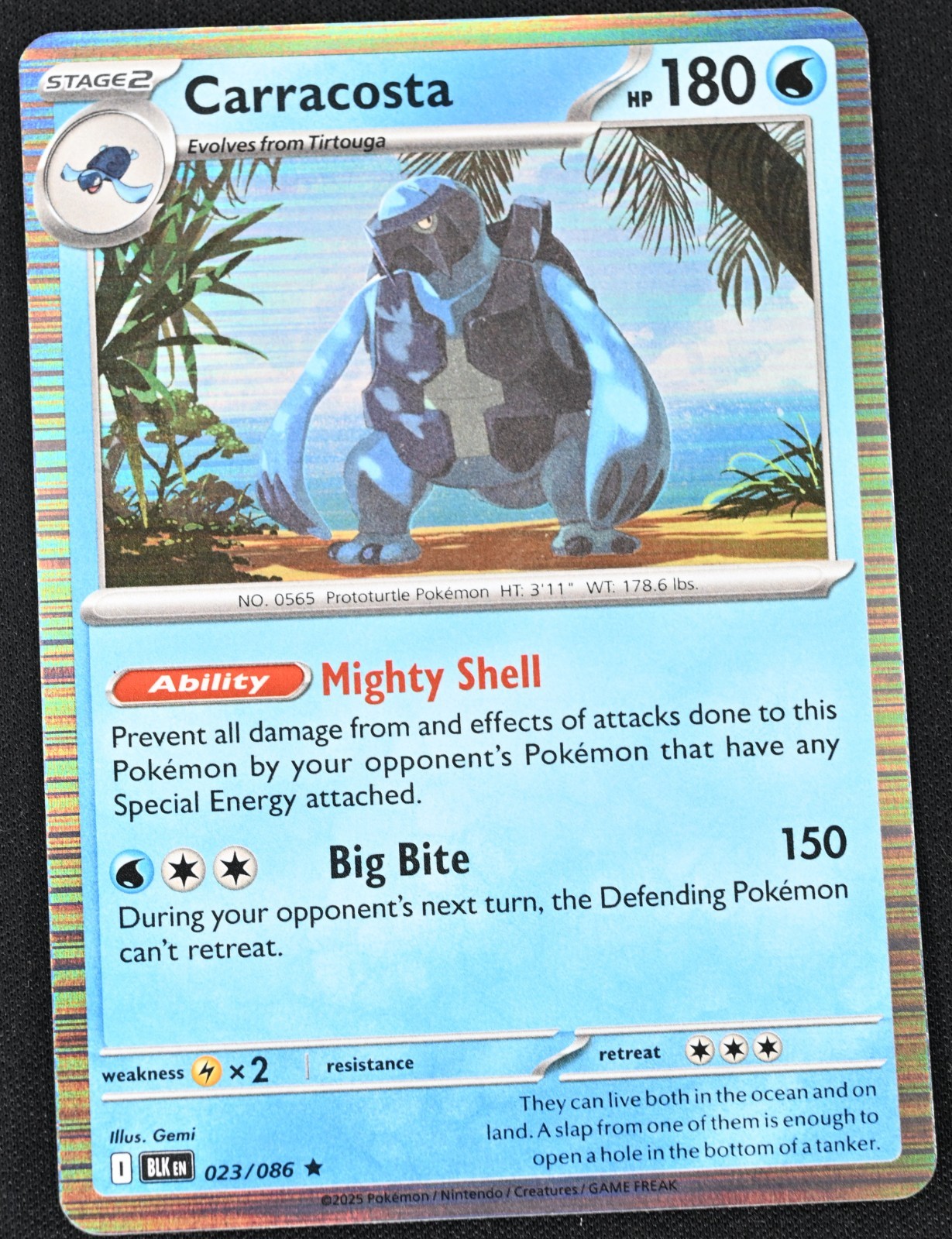 Carracosta 23/086 Pokémon Black Bolt Holo Rare SV NM/MINT