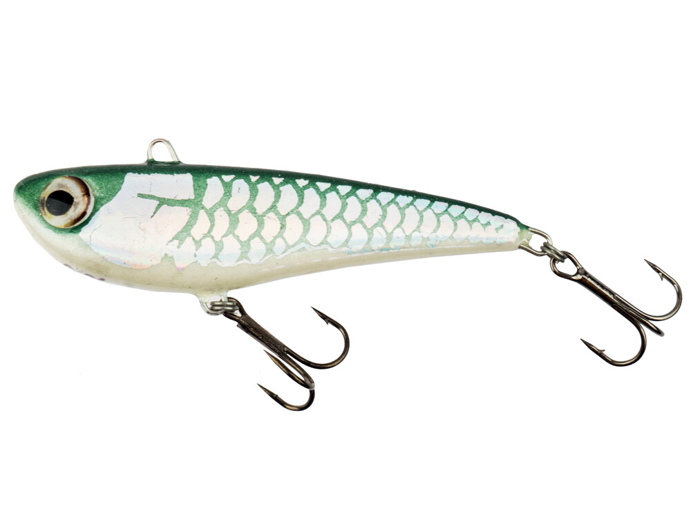 LES BASES DE LA PÊCHE DU CHEVESNE AU POISSON NAGEUR