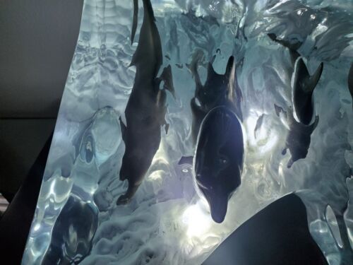 Wyland Lucite "Surf Riders" Sculpture, art, statue. Limited Edition valued $7560 - Picture 9 of 16