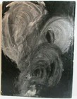 Foto 2 di 7