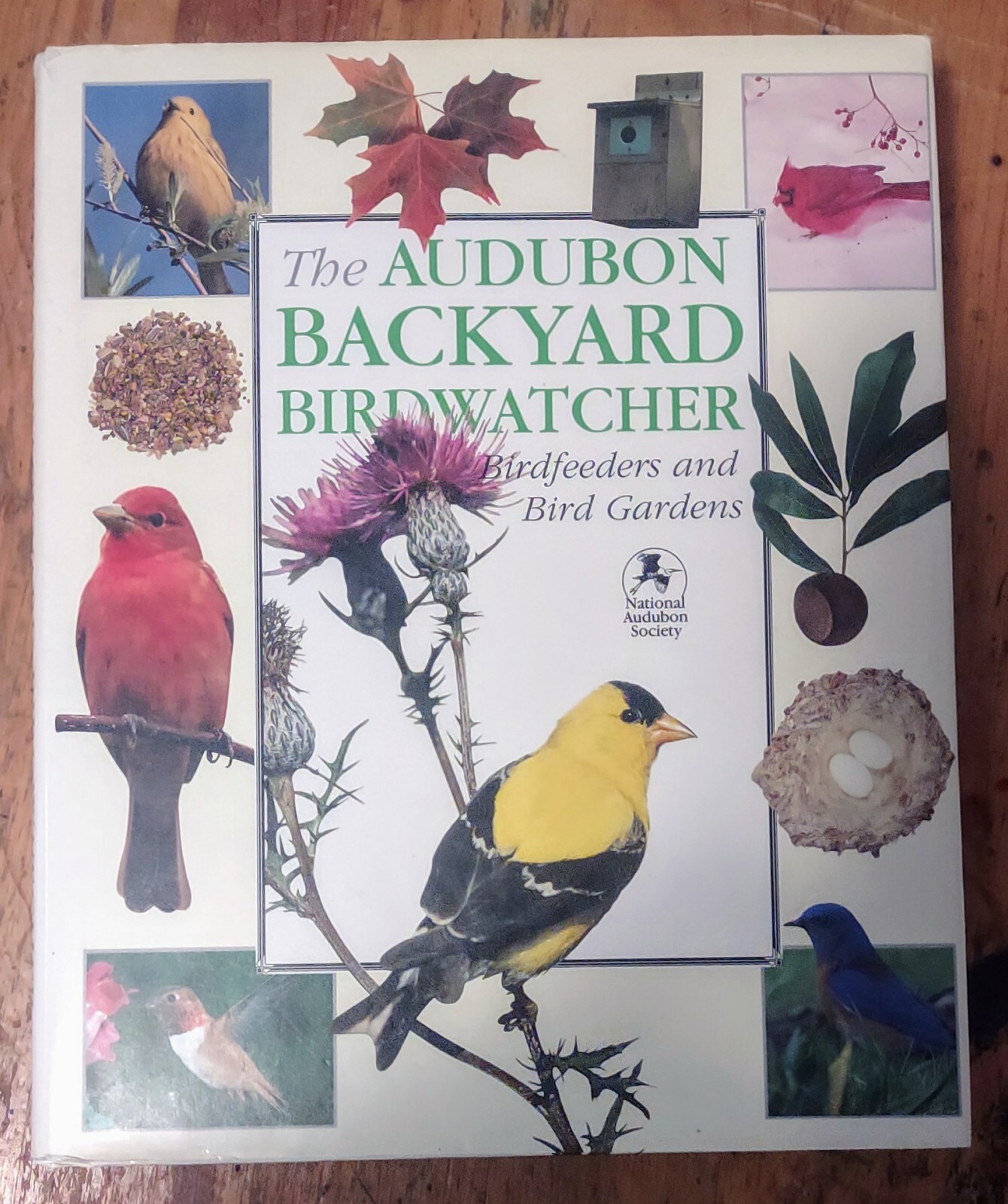 Audubon Backyard Birdwatcher Birdfeeders and Bird Gardens Stephen W. Kress HC